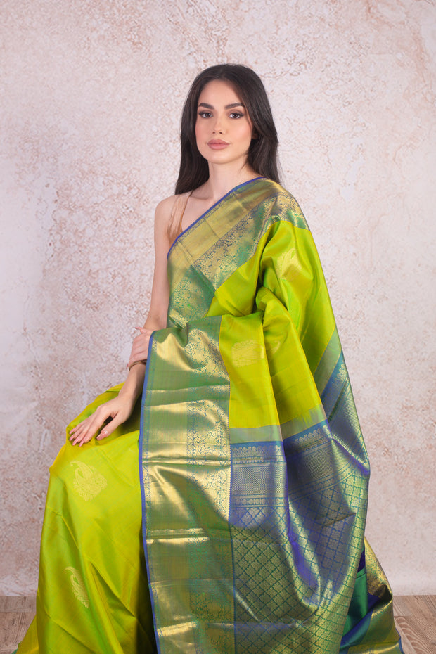 Kanjivaram handloom saree C9_1L