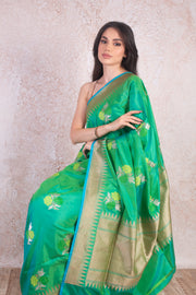 Saree Benarasi Handloom E9_113