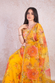 Organza saree & blouse H9_272