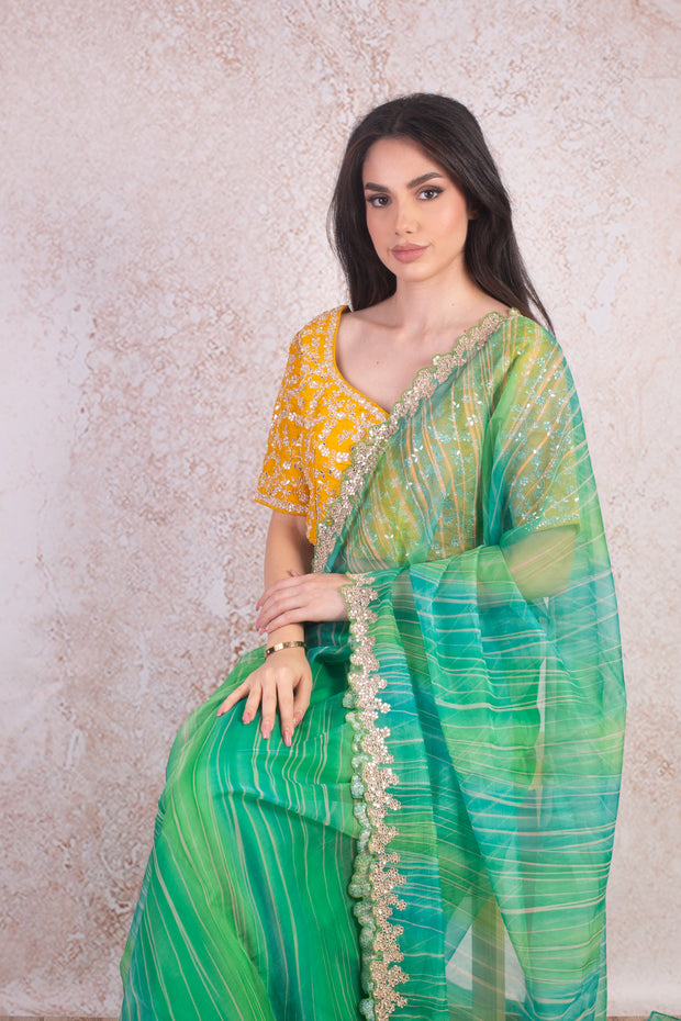 Organza saree & blouse H9_254