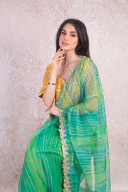 Organza saree & blouse H9_254