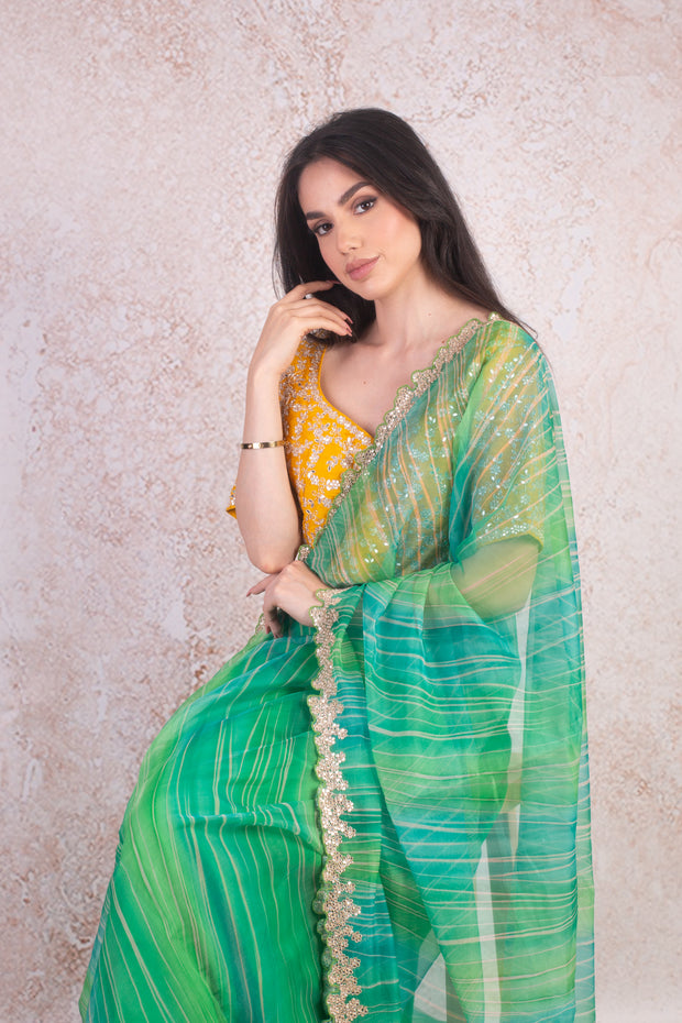 Organza saree & blouse H9_254