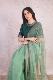 Organza saree & blouse H9_270