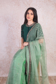 Organza saree & blouse H9_270