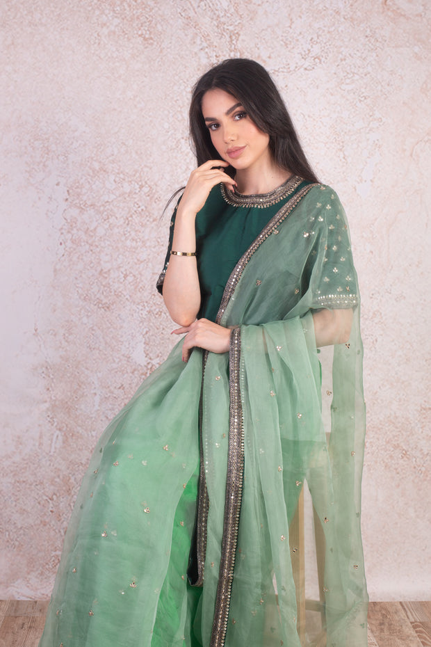 Organza saree & blouse H9_270